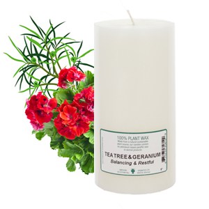823_e.o candles 6x3_tea t&gera_300x300.jpg